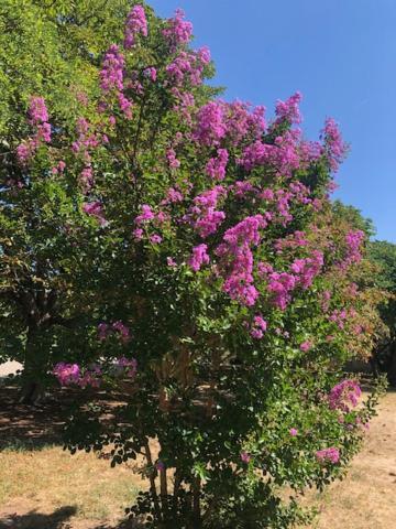 Chateau De Paulignan Trausse 外观 照片