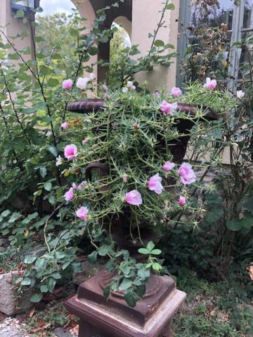 Chateau De Paulignan Trausse 外观 照片
